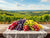 Top 10 French grape varieties you absolutely must know