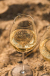 Eisch Champagne glass