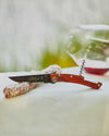 laguiole, claude dozorme, claude dozorme laguiole, wine opener, wine corkscrew, claude dozorme corkscrew, wine opener laguiole, pocket knife